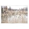 Stupell Industries Pampas Grass Reeds Lakeside Wall Plaque Art